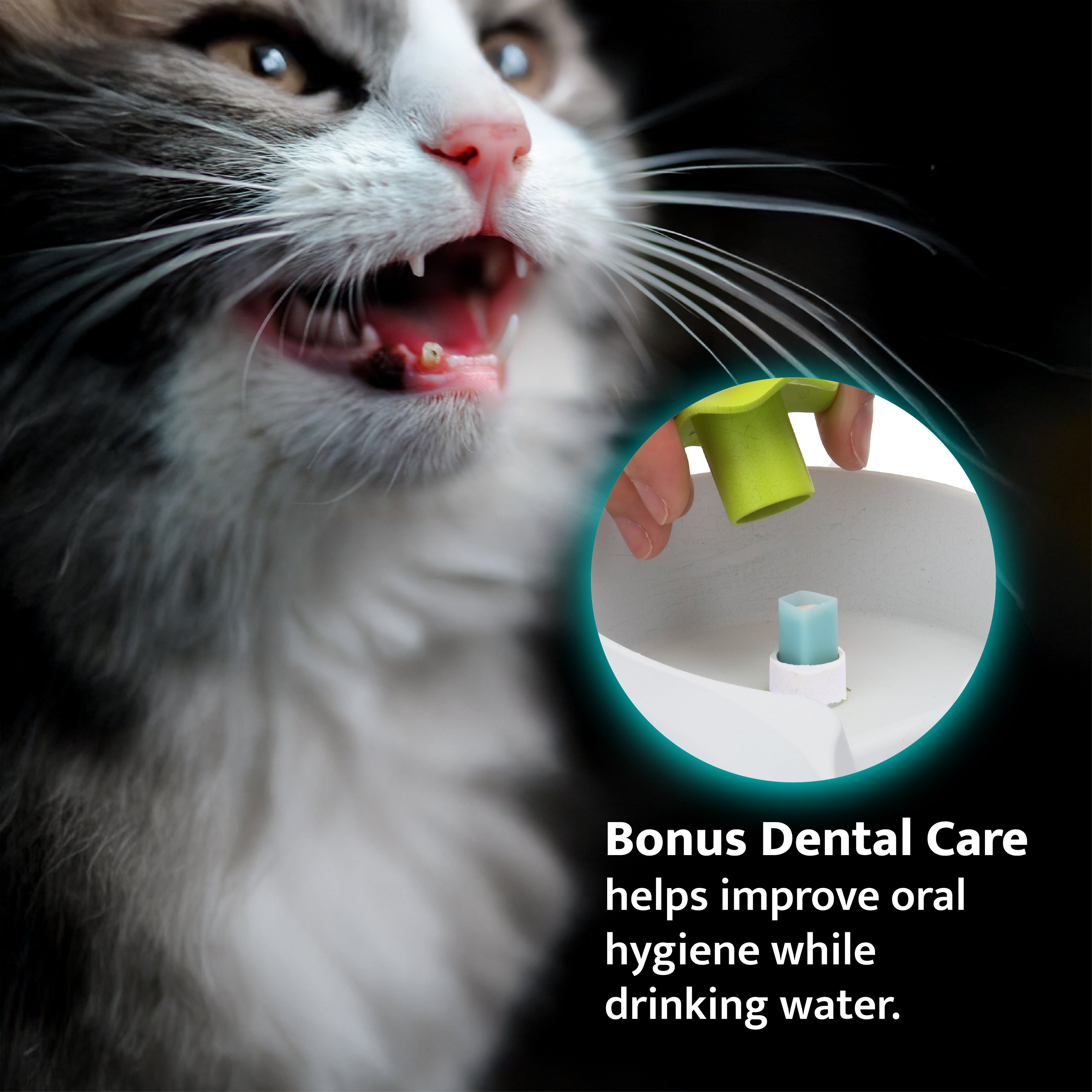 Cat H2O Tornado (FREE bonus pack of 3 filter pads included)