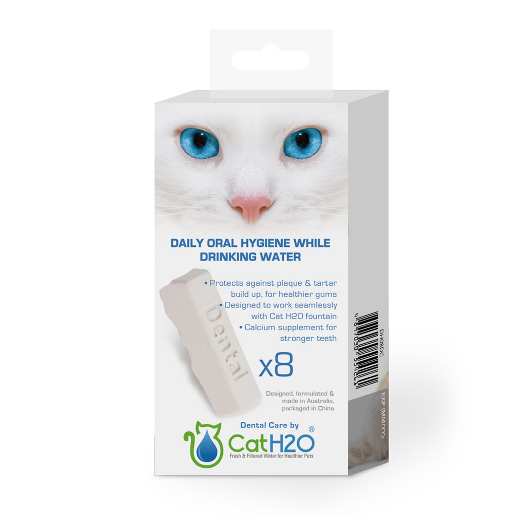 Dental Care