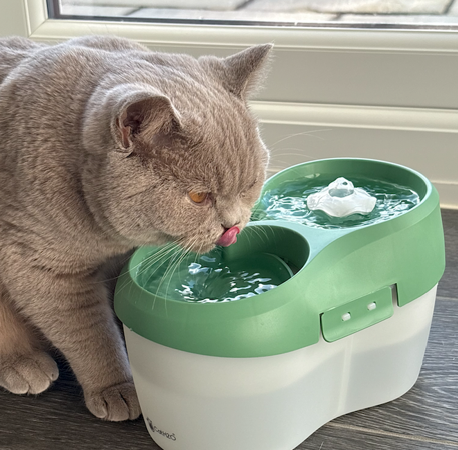 Cat H2O Tornado (FREE bonus pack of 3 filter pads included)